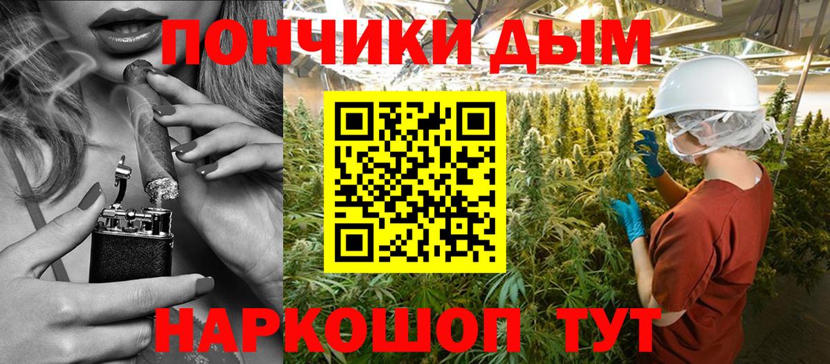 Бошки марихуана гибрид Павловский Посад